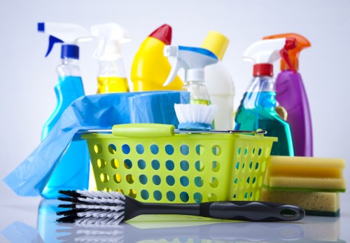 Professional pet stain odour removal for carpeted home in Welling
