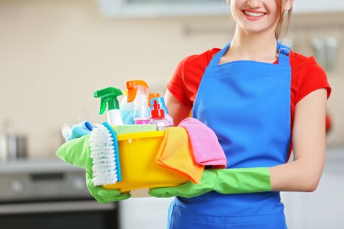 Professional carpet cleaning in Welling living room