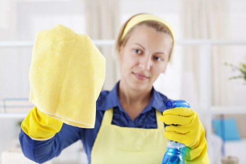 Inspection of carpet cleaning equipment before use