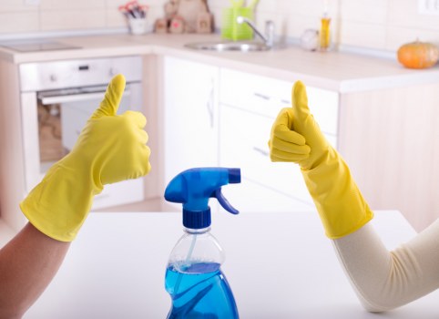 Carpet cleaning quote discussion with transparent pricing details