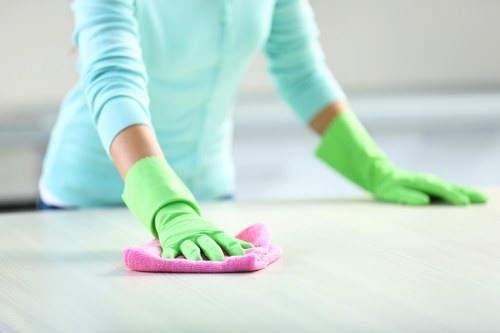 Steam cleaning carpets in a Welling home