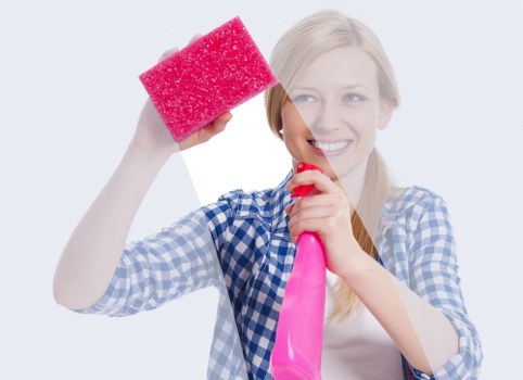 Cookie category overview for Welling Carpet Cleaners users