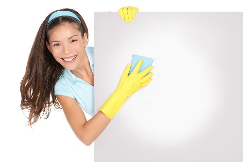 Deep cleaning treatment for pet odours in a Welling property
