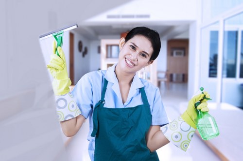 Dust removal and fabric treatment for curtains in Welling