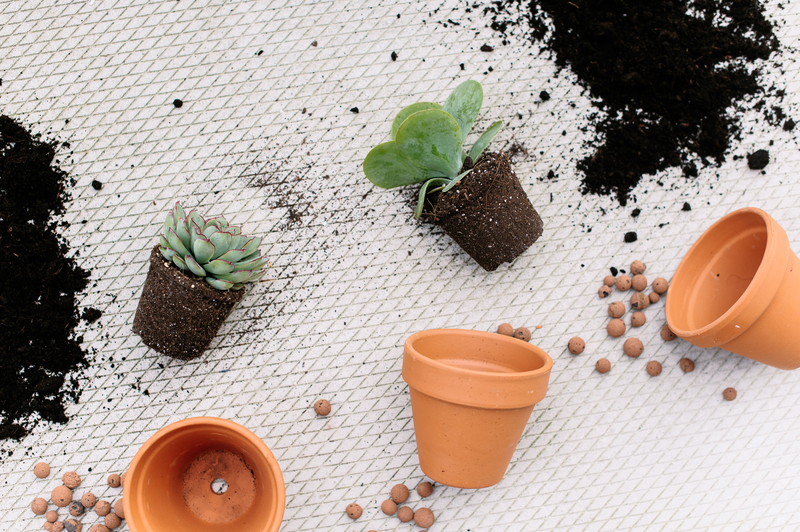 Deep cleaning regular cleaning